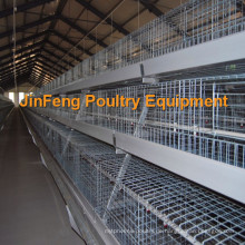 Automatische a Type Broiler Chicken Cage Hot Verkauf in Afrika